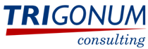 Trigonum - Managementsysteme für Informationssicherheit und Datenschutz auf Basis Mircosoft 365