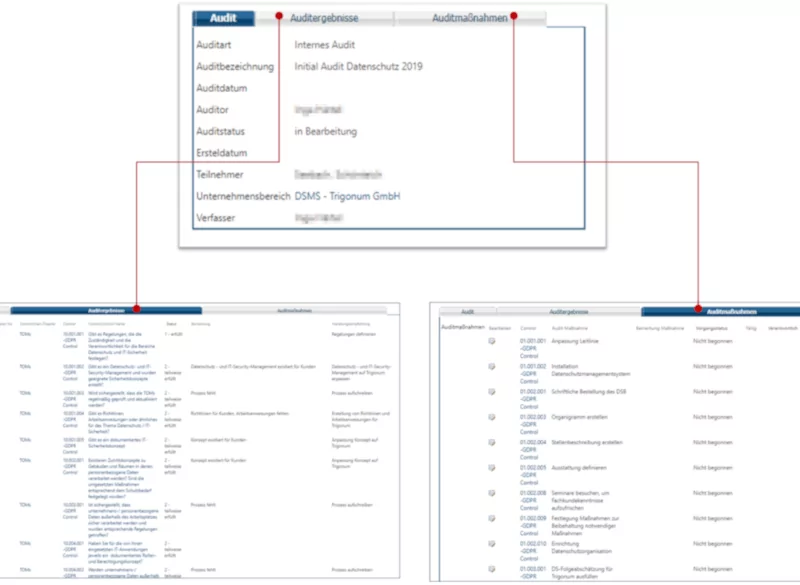 Auditmanagement 2